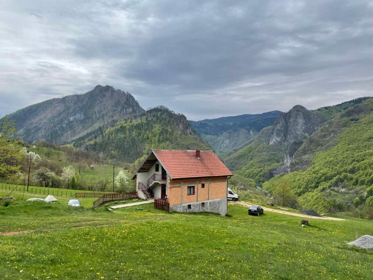 Family Owned Self Sufficient Eco Farm Tara Hotel Pljevlja Exterior foto