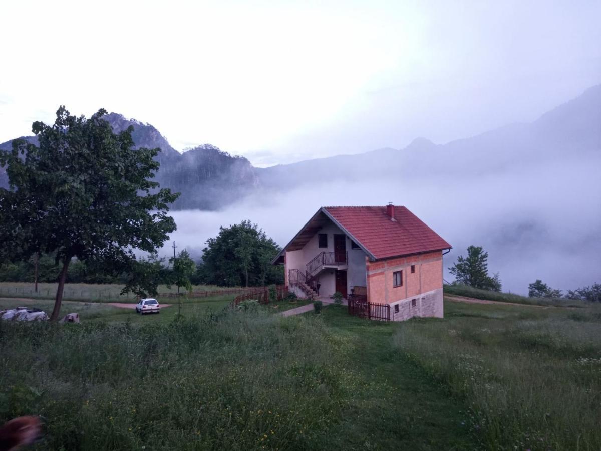 Family Owned Self Sufficient Eco Farm Tara Hotel Pljevlja Exterior foto