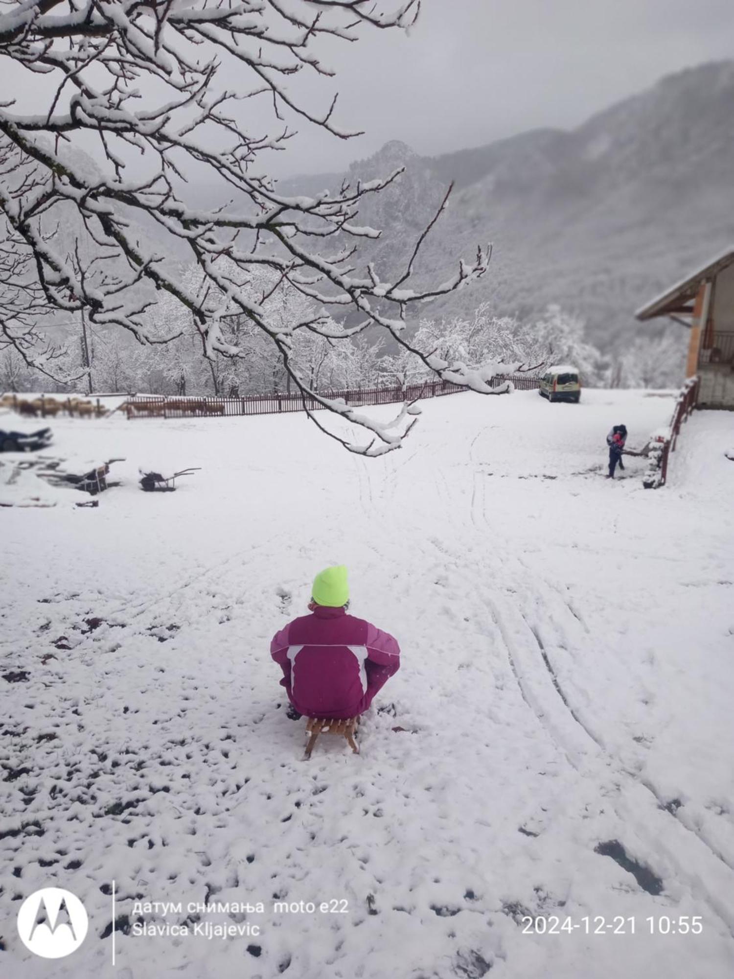 Family Owned Self Sufficient Eco Farm Tara Hotel Pljevlja Exterior foto